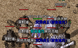 传奇私服 传奇私服