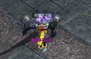 传奇私服 传奇私服